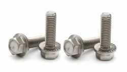 Stainless Steel Hex Flange Bolt